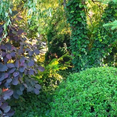 Flower Deluxe Ii Villa