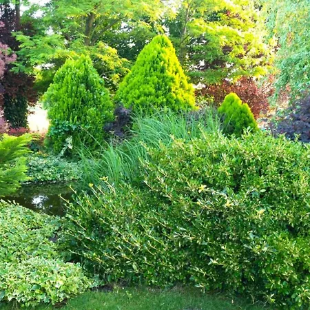 Vila Flower Deluxe Ii Dunajska Streda