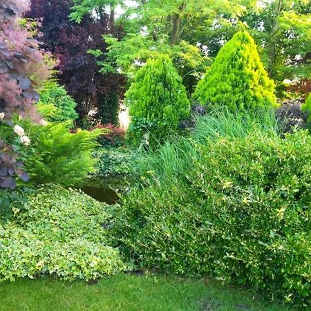 Flower Deluxe Ii * Dunajská Streda