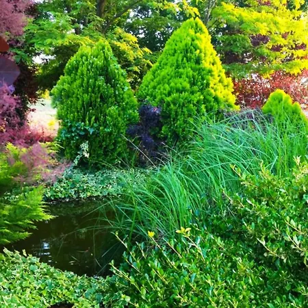 Flower Deluxe Ii * Dunajska Streda