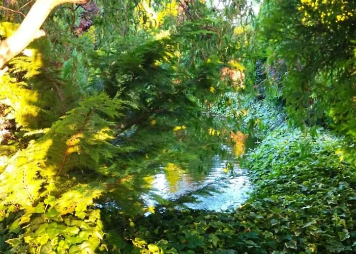 빌라 Flower Deluxe Ii *