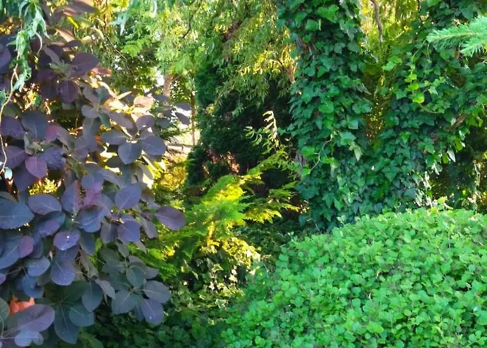 Flower Deluxe Ii 빌라