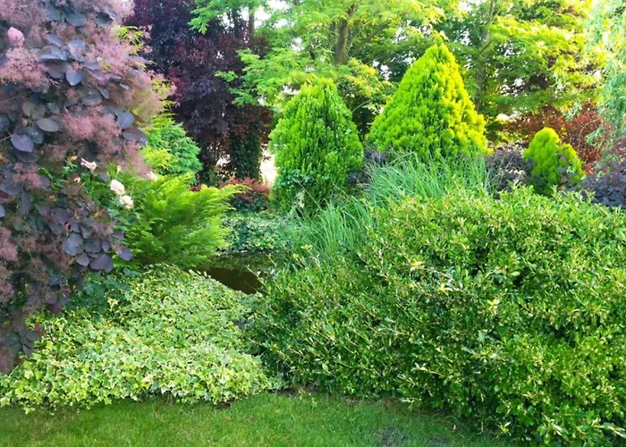 Flower Deluxe Ii * Dunajská Streda