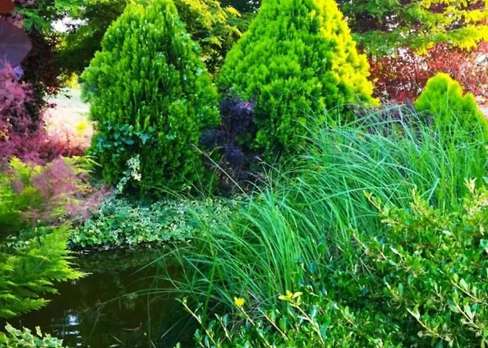 Flower Deluxe Ii * Dunajská Streda